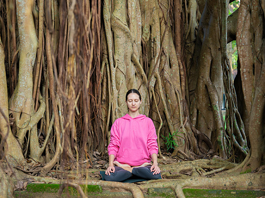 Для начинающих