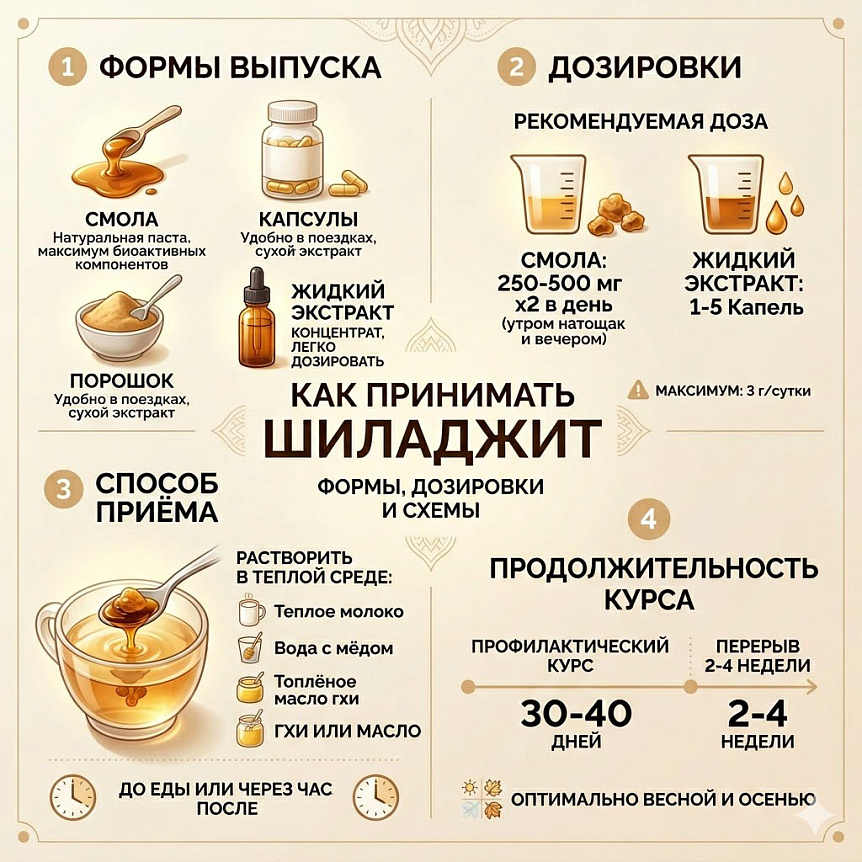 Инфографика-руководство показывает формы выпуска, дозировки и схемы приема Шиладжита (мумиё) для здоровья.
