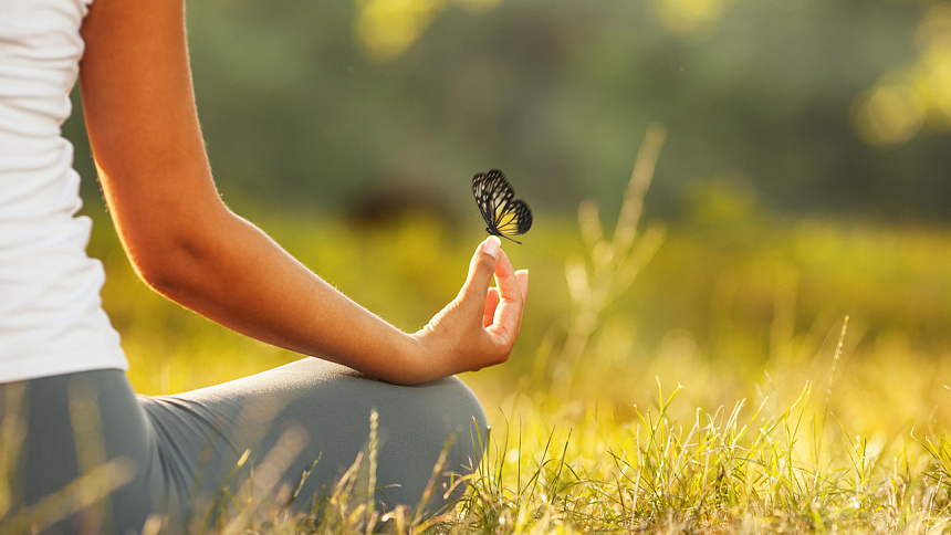 бабочка на руке фото