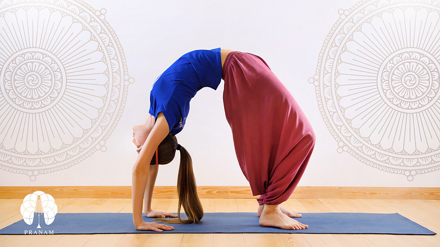 Поза моста фото