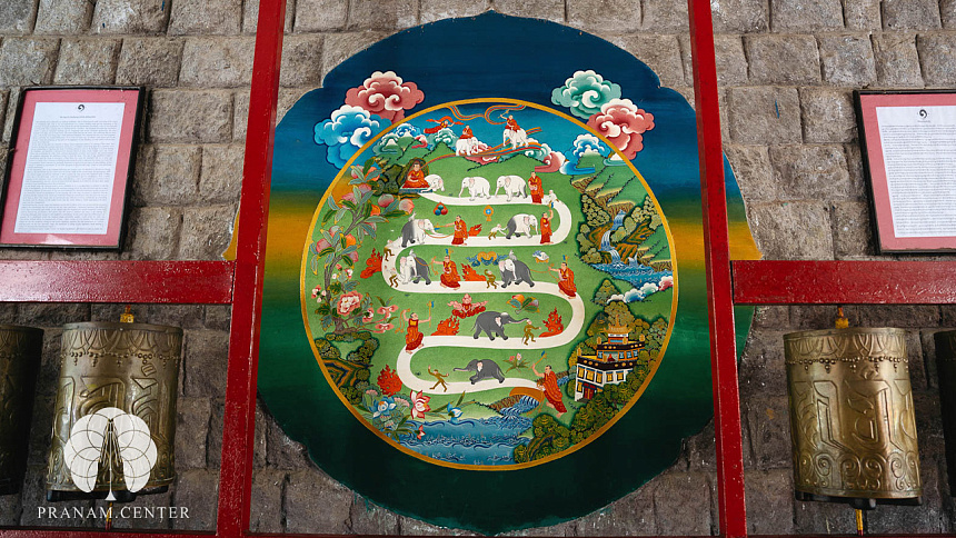 шаматха фото