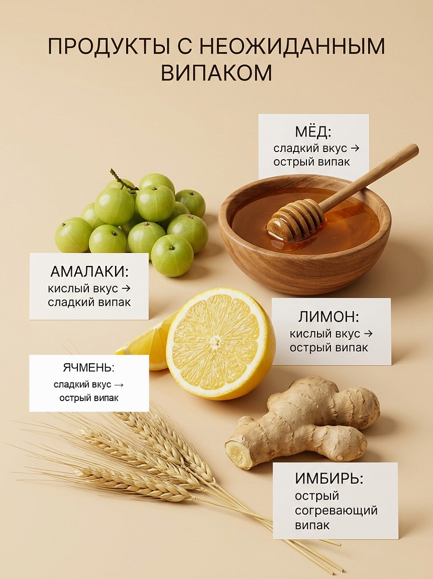 Аюрведические продукты с неожиданным випаком амалаки мед имбирь лимон ячмень