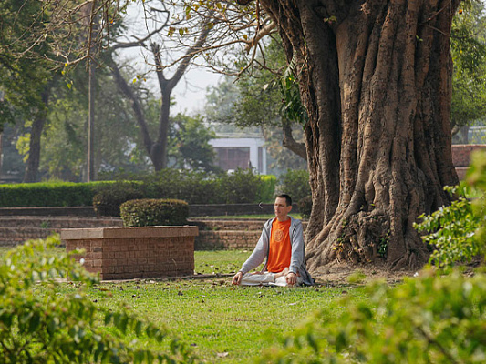 Мула-бандха: полное руководство по корневому замку в йоге