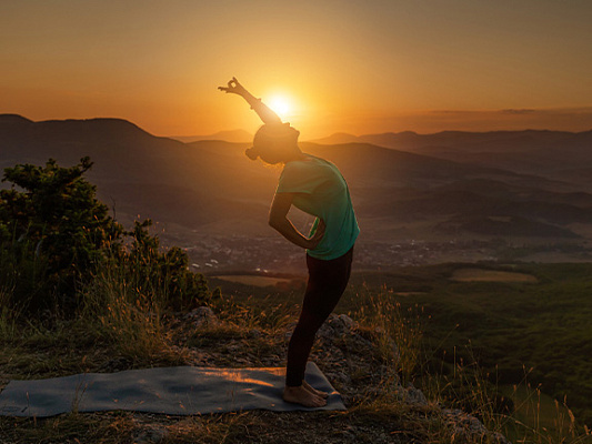 Питта-доша в аюрведе