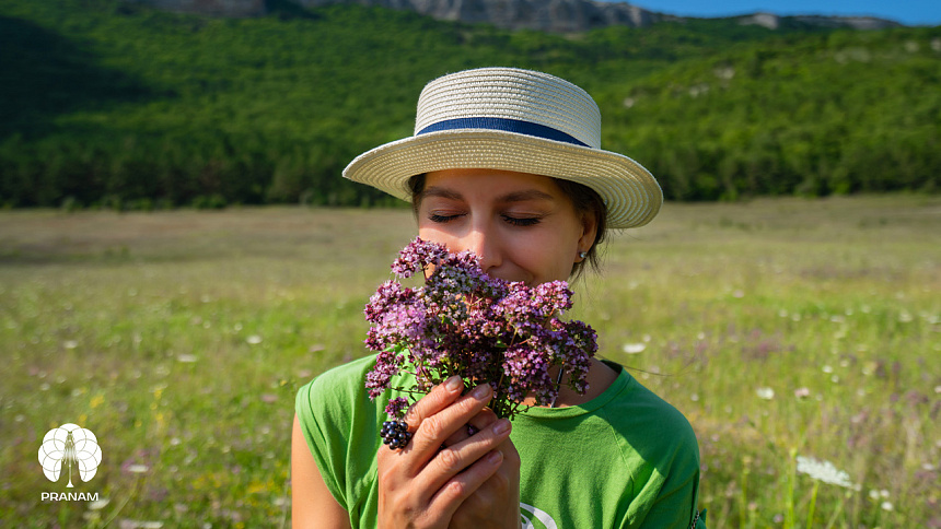 цветы в поле и девушка