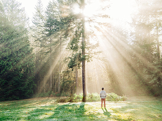 Дхату: 7 тканей Аюрведы – ключ к пониманию вашего тела
