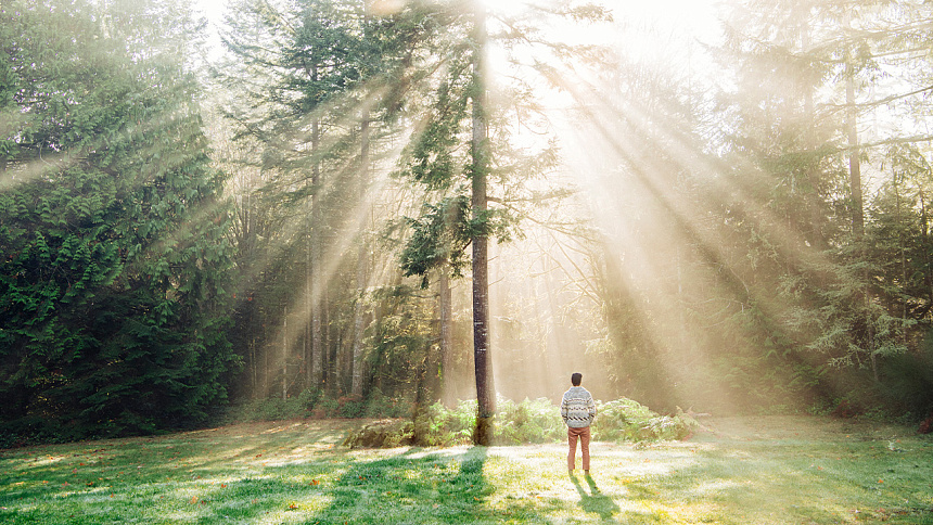 под лучами солнца фото