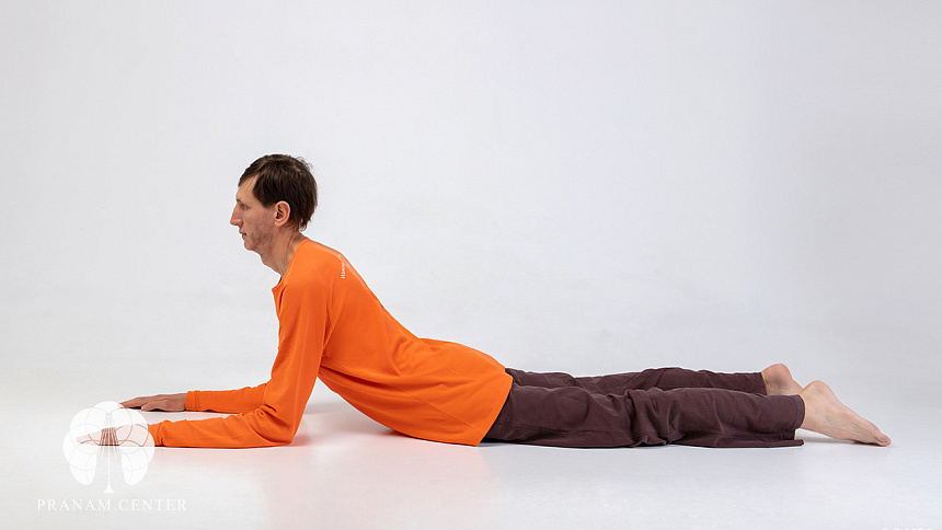 Поза сфинкса фото