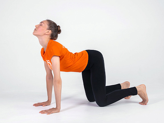 Как выполнять Марджариасану: поза кошки для здоровья и гармонии