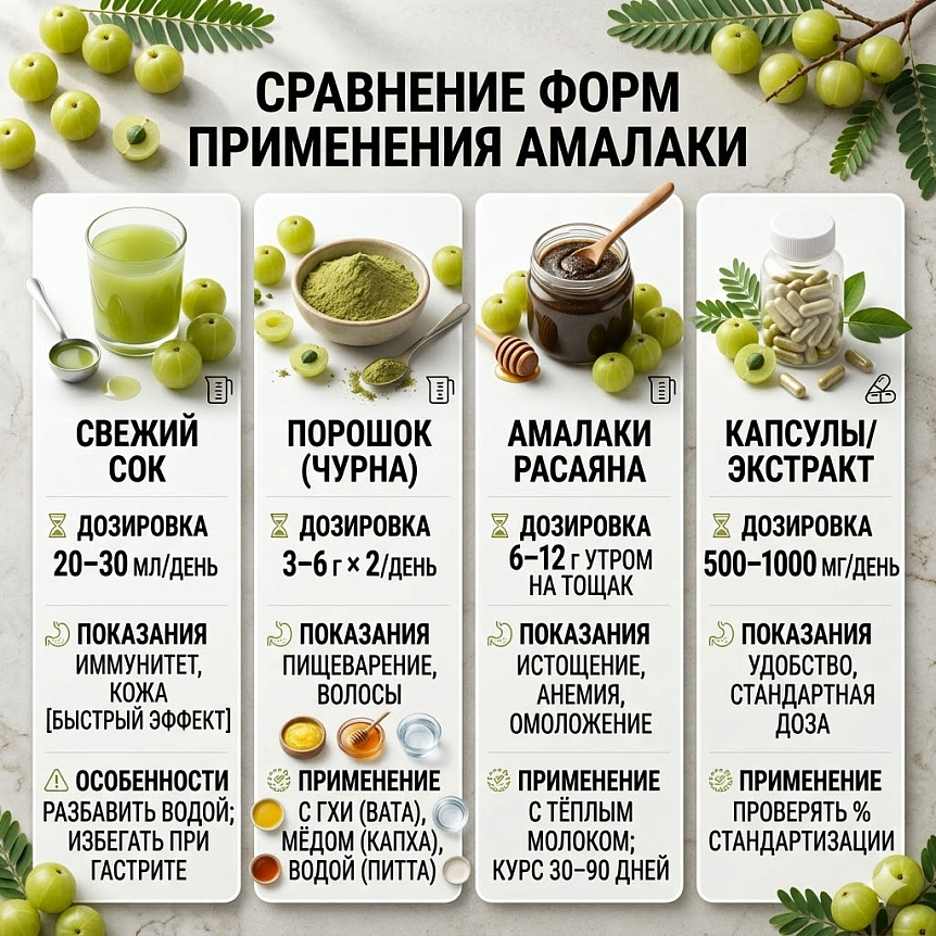 Сок амлы и апельсина стоят у весов, показывая разницу в концентрации витамина С и пользу аюрведического плода.