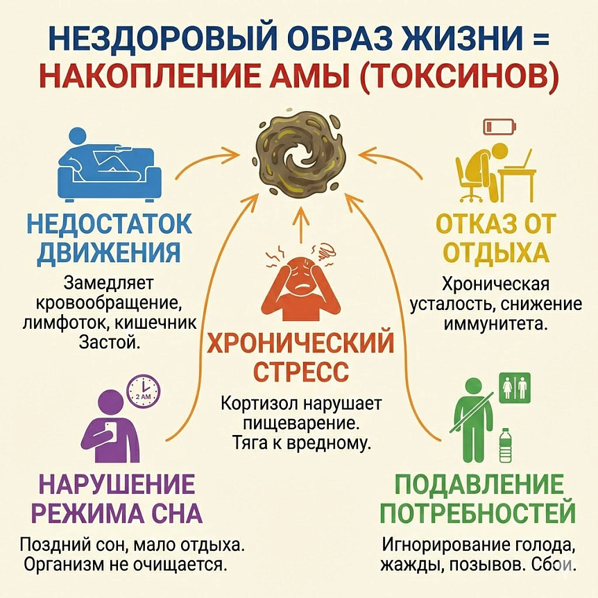 Схема влияния нездорового образа жизни на накопление амы. Показаны 5 факторов: стресс, дефицит сна и движения, отказ от отдыха.