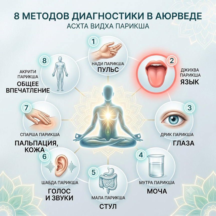 Инфографика 8 методов диагностики Ашта Видха Парикша с акцентом на язык для оценки здоровья в аюрведе