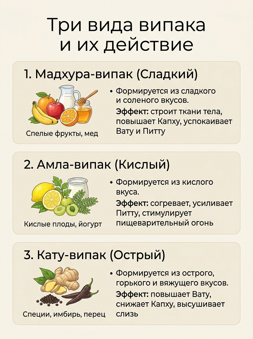 Инфографика трёх типов вкуса випака отражающая метаболическое действие на ткани и баланс дош в аюрведе